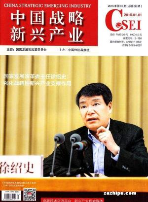 中国战略新兴产业