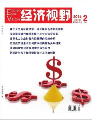 经济视野
